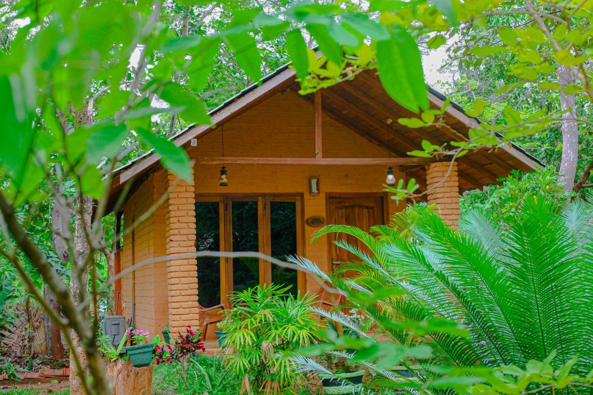 Lotus Eco Villa シギリヤ エクステリア 写真