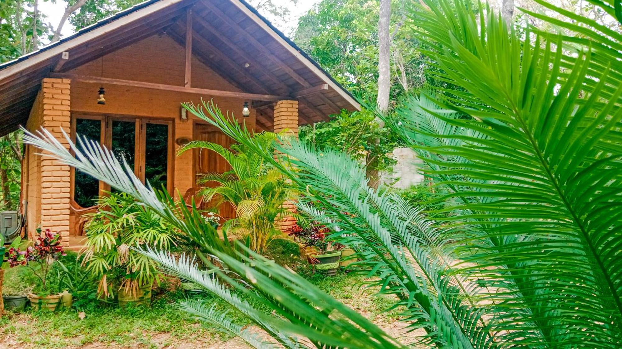 Lotus Eco Villa シギリヤ エクステリア 写真