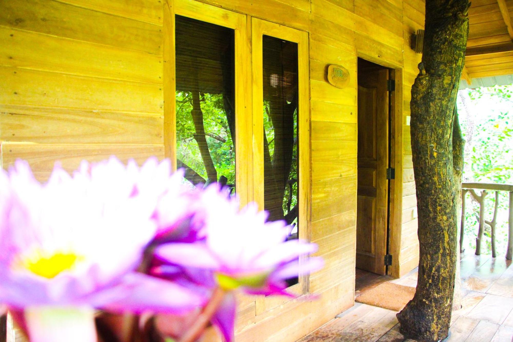 Lotus Eco Villa シギリヤ エクステリア 写真