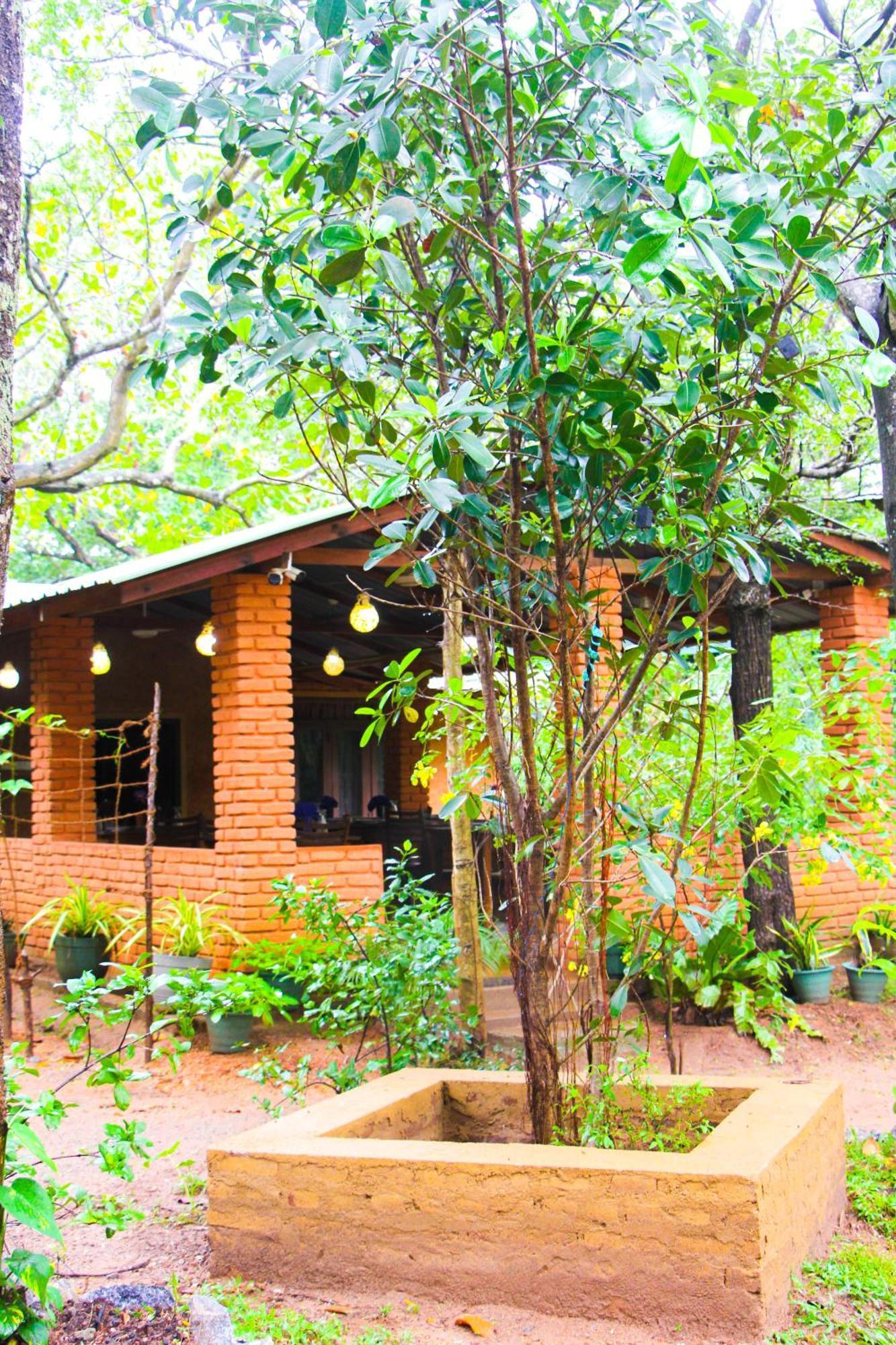 Lotus Eco Villa シギリヤ エクステリア 写真